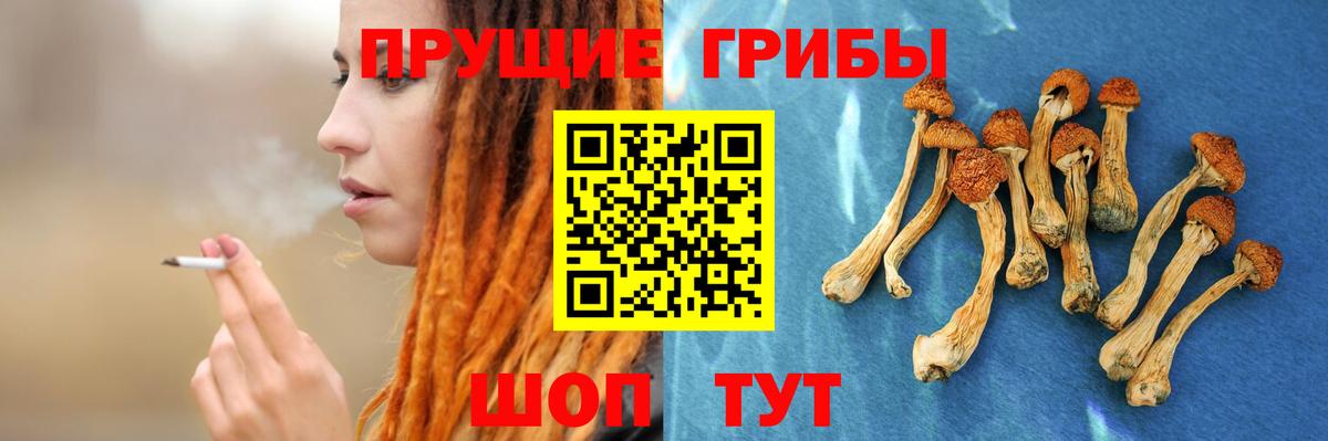 Галлюциногенные грибы мицелий  Вход с VPN  Новодвинск 